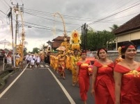 Tradisi Langka, Krama Adat Banda Blahbatuh Gelar Upacara Nyenukan