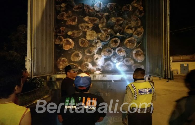Beritabali.com