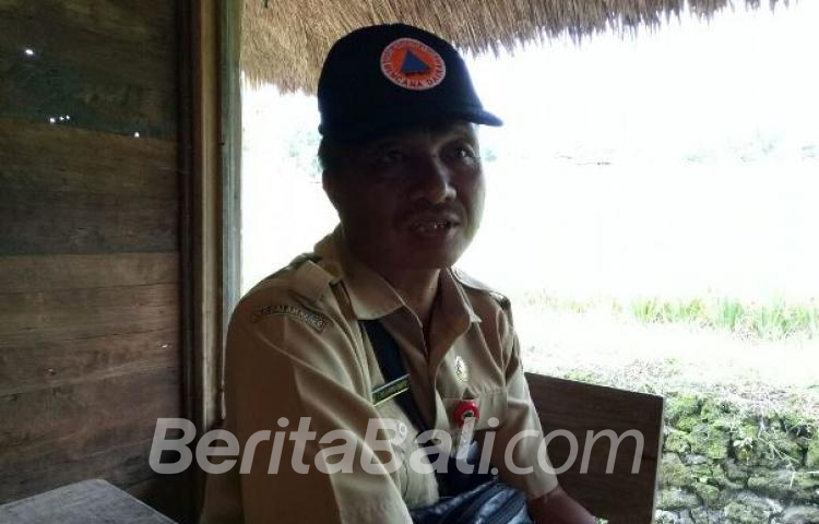 Beritabali.com