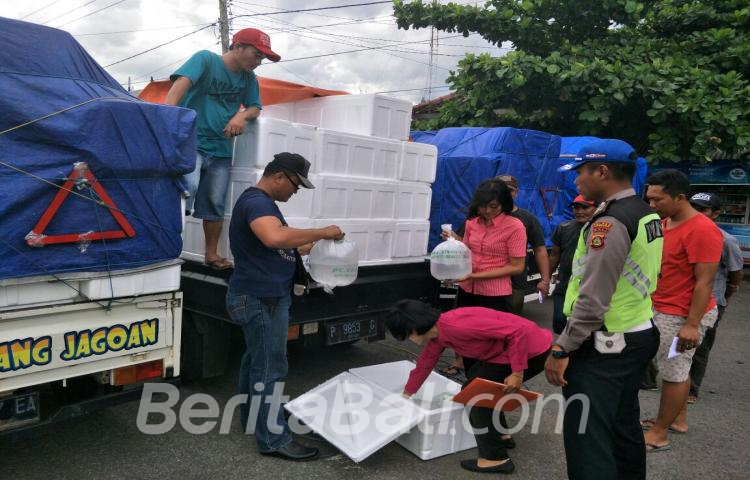 Beritabali.com