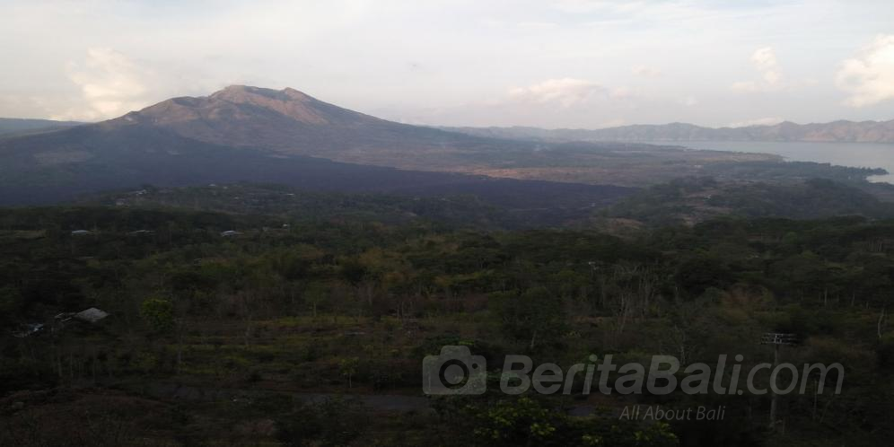 Beritabali.com