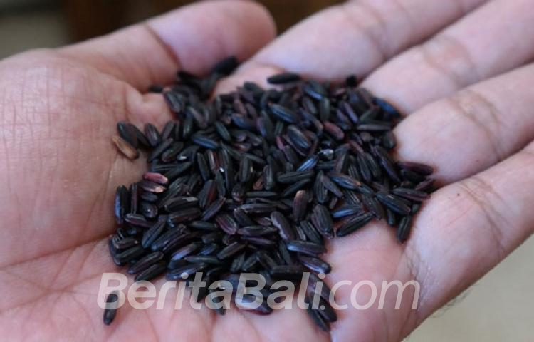 Beritabali.com