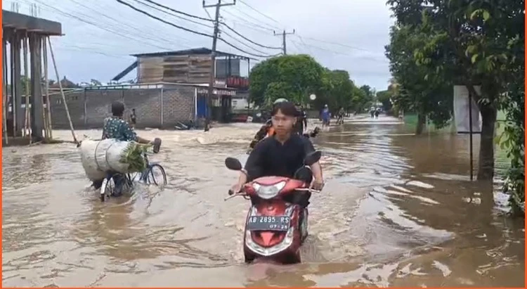 Beritabali.com