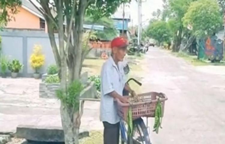 Beritabali.com