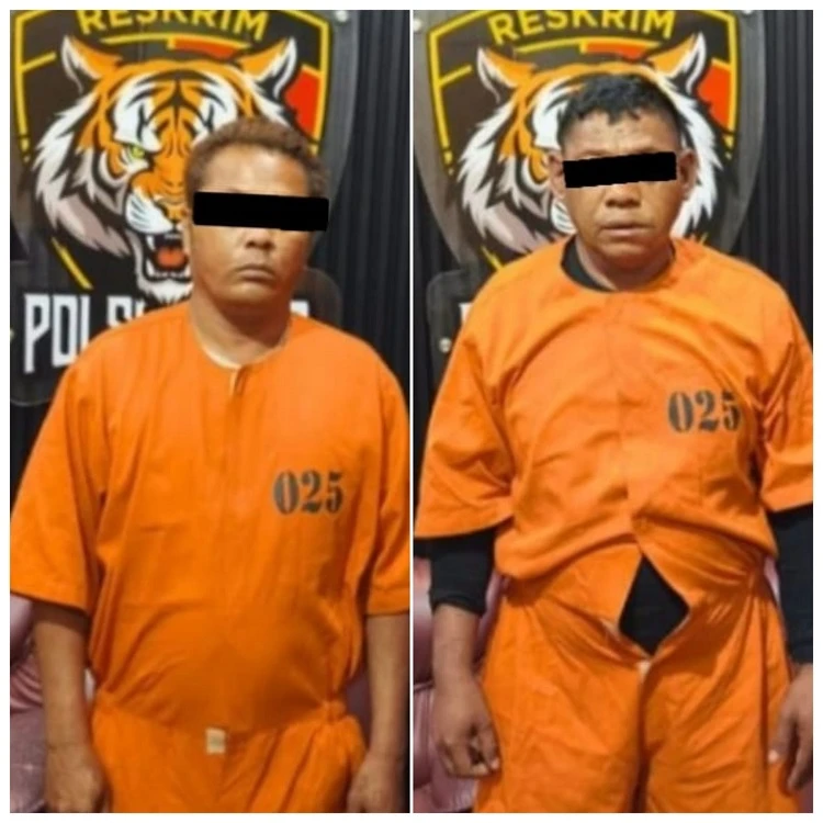 Beritabali.com