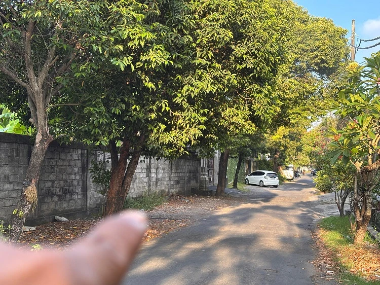 Beritabali.com