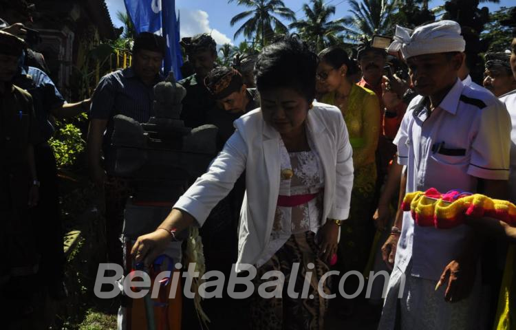 Beritabali.com