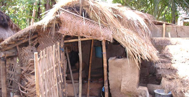 Beritabali.com