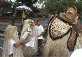 Beritabali.com