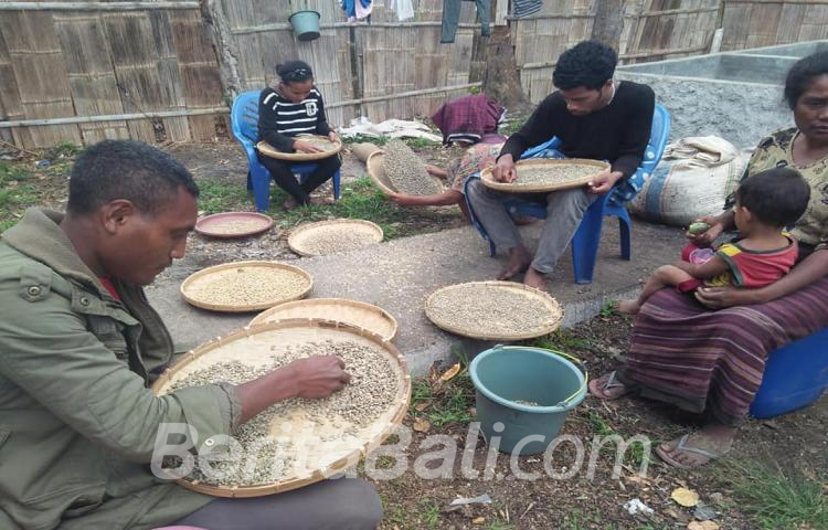 Beritabali.com