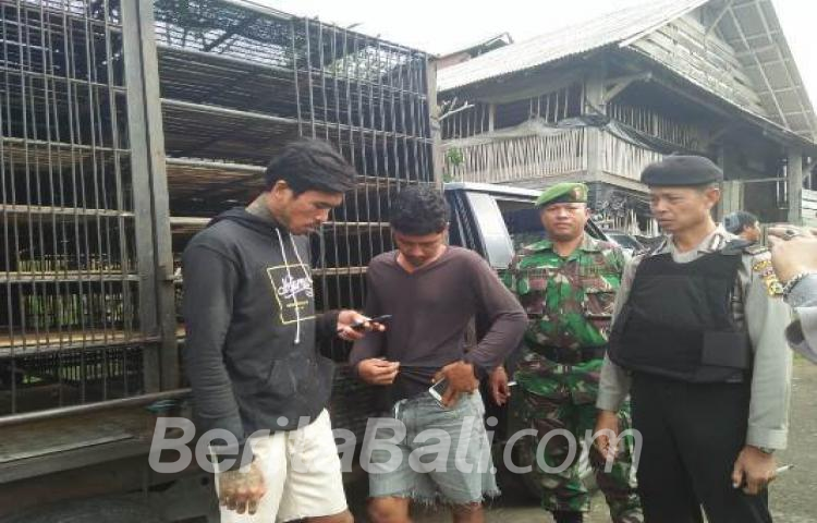 Beritabali.com