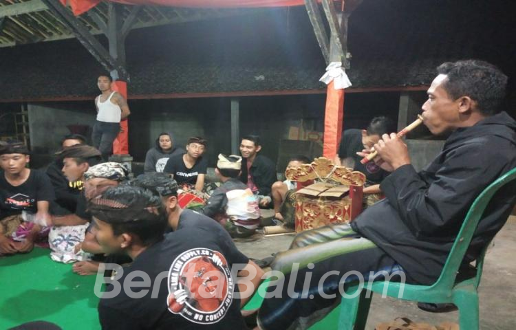 Beritabali.com